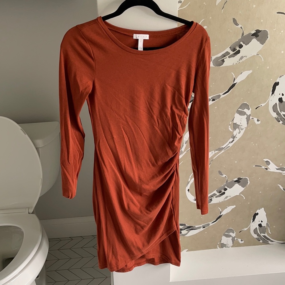 Long sleeve, rouched side mini dress.